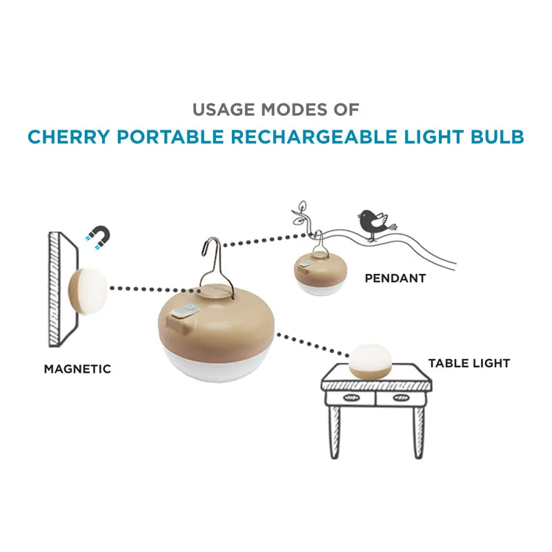 CHERRY portable solar charge light bulb