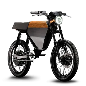 Onyx RCR Electric Bike