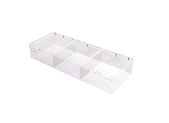 Reptizoo Acrylic Display Case With Multiple Compartments